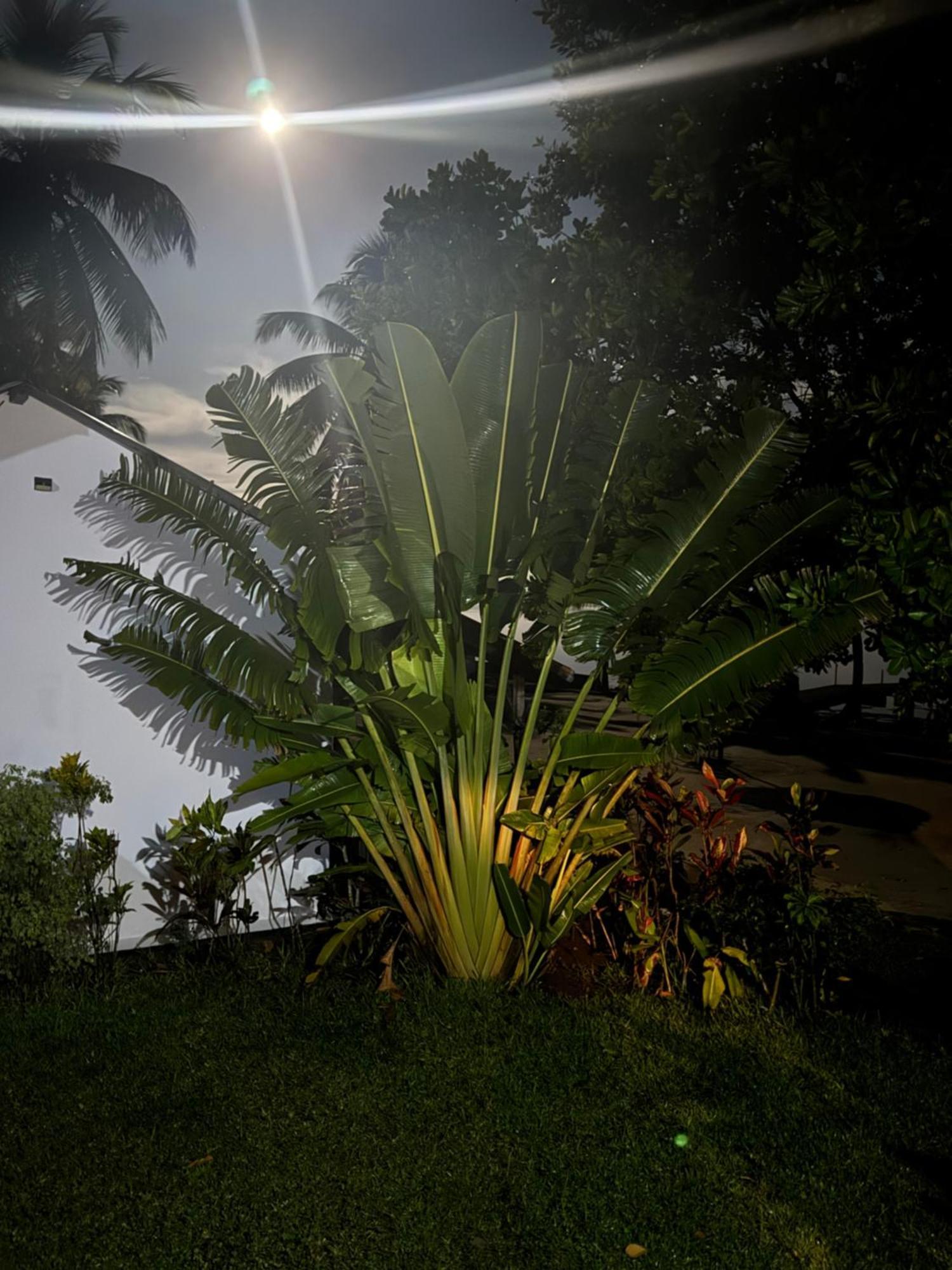 Mora Mora Resort Ankoalamare Exterior foto